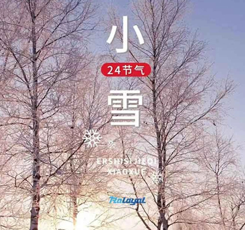 快乐的小雪